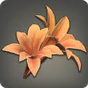 Orange Lilies - 5k
