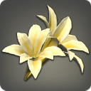 Yellow Lilies - 5k